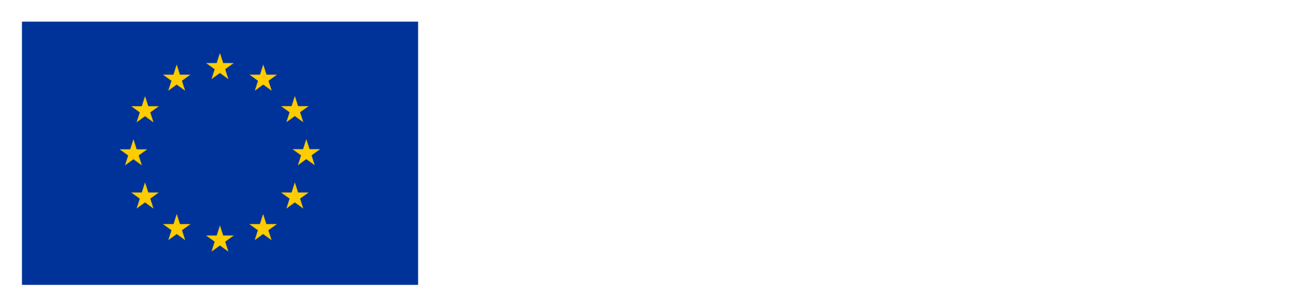 Co-funded by the European Union